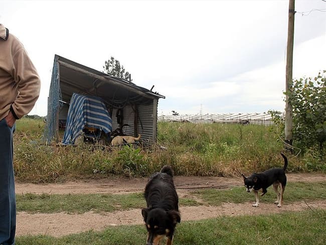 &#039;Pepe&#039; Mujica pide ser enterrado junto a su perra Manuela. Foto: Getty Images