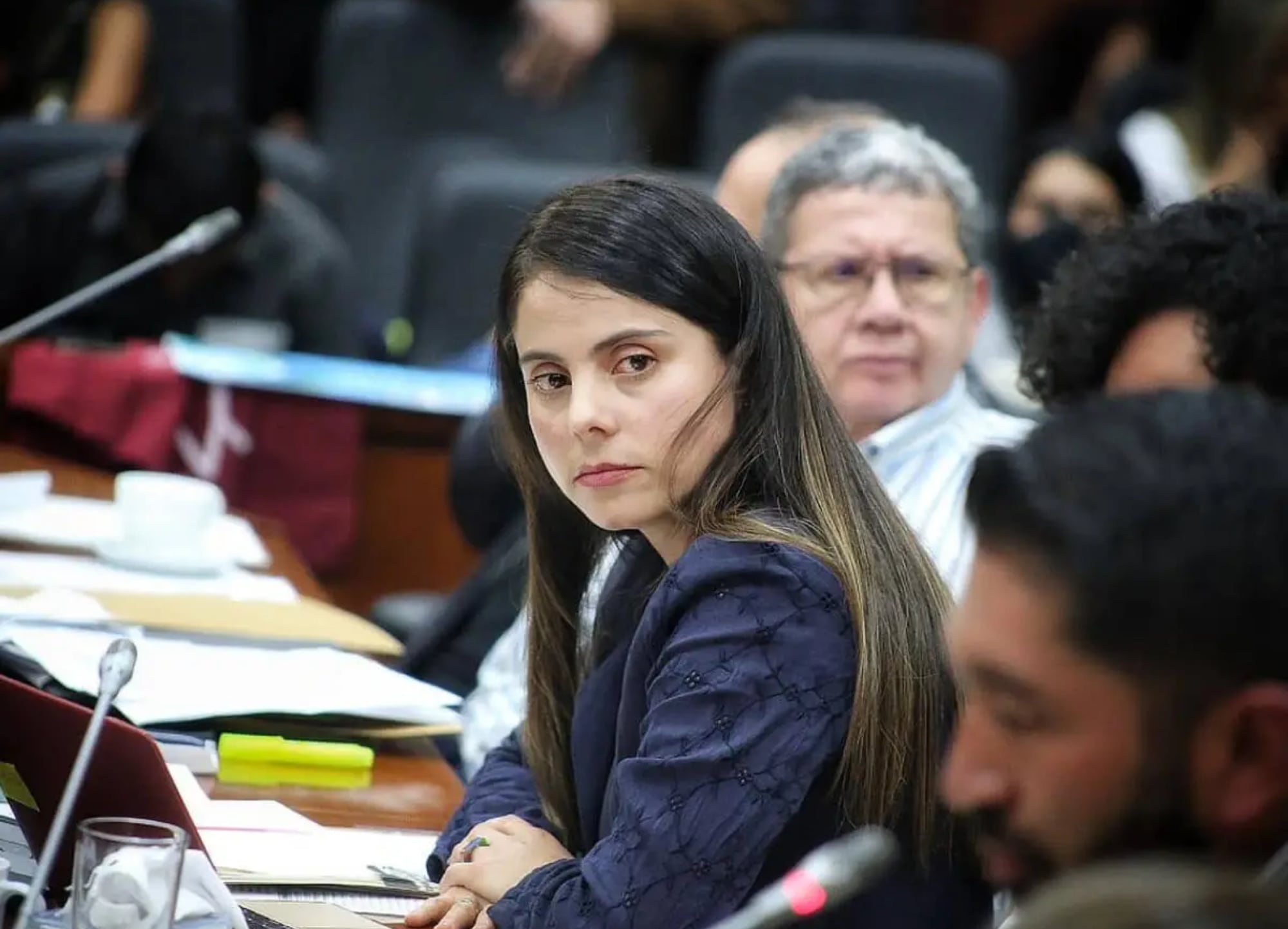 Esmerlada Hernández | Foto: Prensa Senado