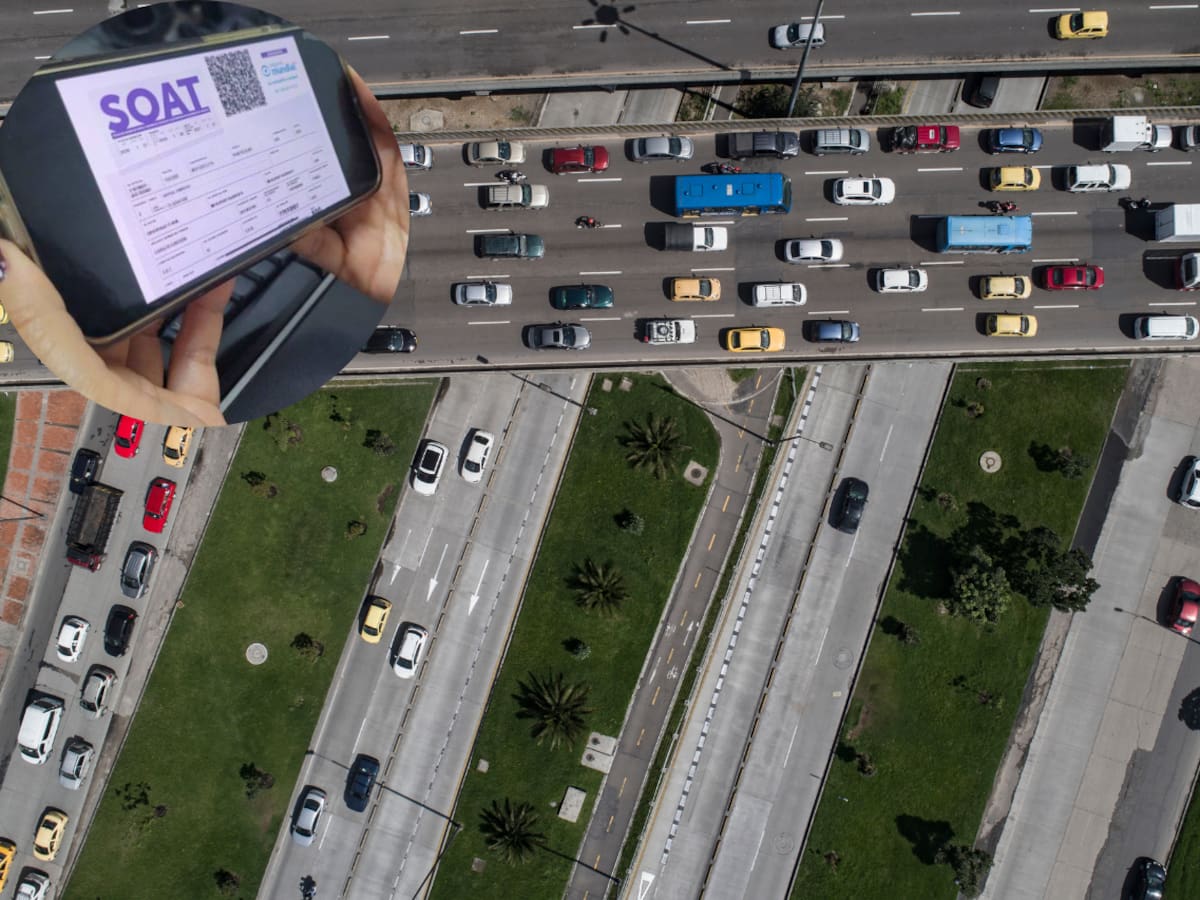 Tribunal ordena reforzar controles para frenar estafas en la venta virtual del SOAT