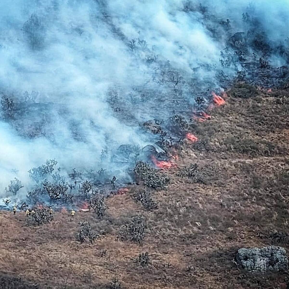 Incendio forestal en Mondoñedo afecta 200 hectáreas y mantiene cerrada vía hacia Bogotá