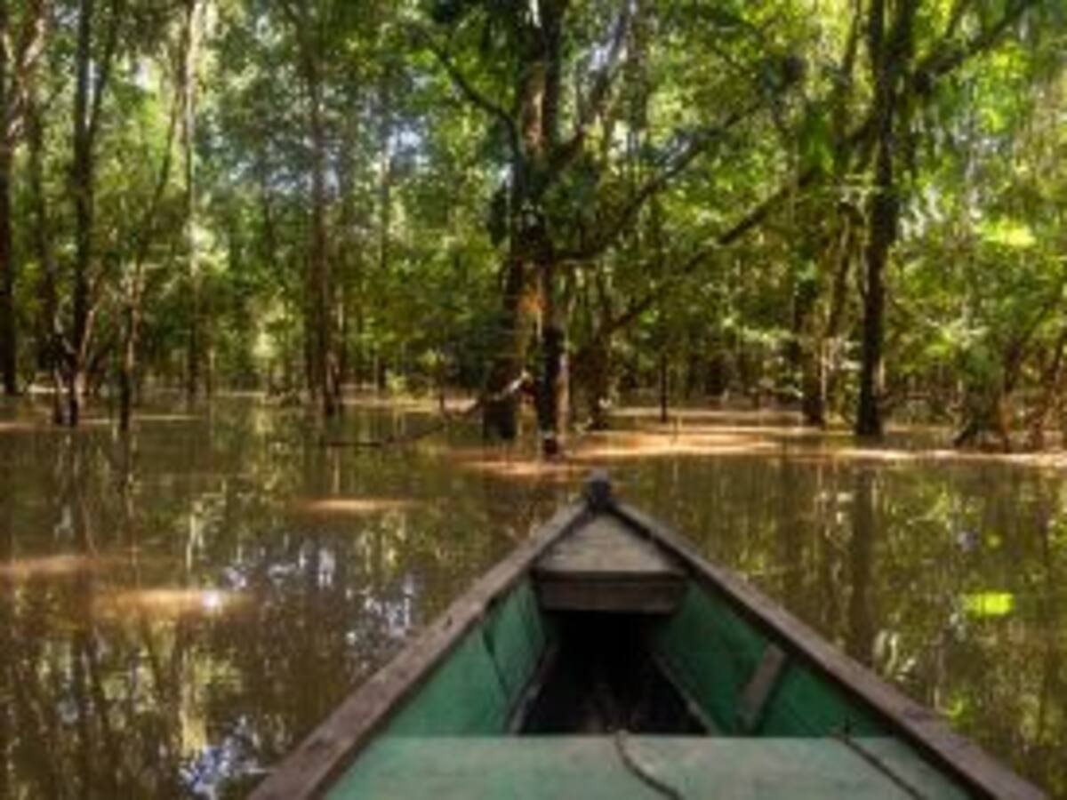 Cumbre Amazónica culmina con un llamado al “mundo rico” para que pague por la selva