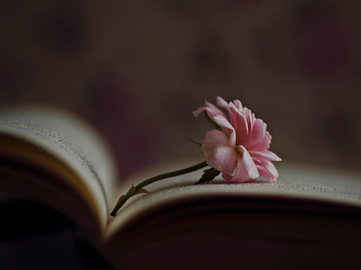 Enamorada de sus versos: oyente recitó su poesía al aire en La W