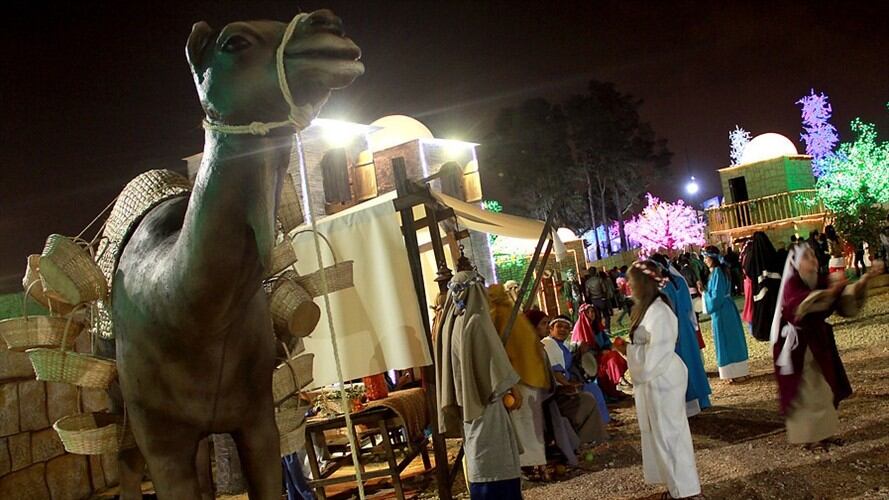 Pesebre viviente más grande del país / Imagen de referencia. Foto: Colprensa