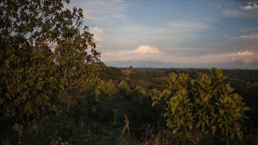 El mundo se vuelve más limpio a medida que disminuyen las emisiones de CO2. Foto: Agencia Anadolu
