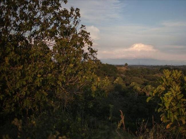 El mundo se vuelve más limpio a medida que disminuyen las emisiones de CO2. Foto: Agencia Anadolu