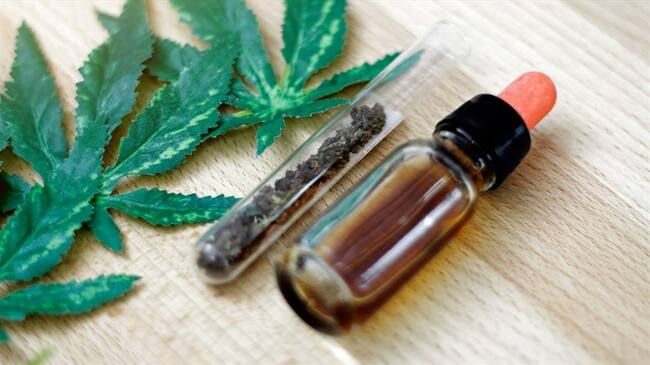 La W confirmó que el presidente Iván Duque volvió a invitar a dirigentes gremiales y empresarios del sector de cannabis medicinal. Foto: Getty Images / RAPEEPONG PUTTAKUMWONG