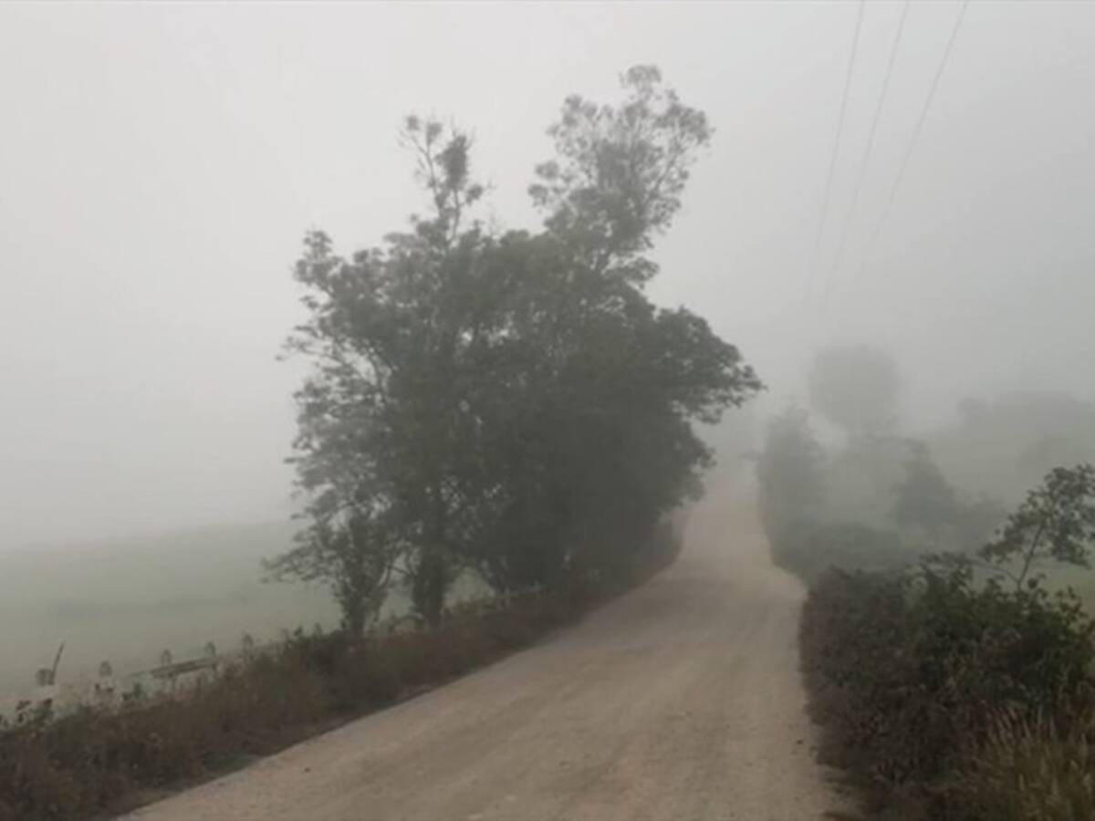 Ante fenómeno de heladas en Boyacá insisten en proyecto de “seguro de cosechas”