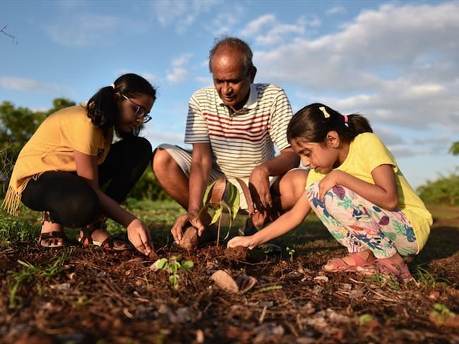 'Amazonía Emprende', la escuela que enseña a la comunidad sobre la deforestación