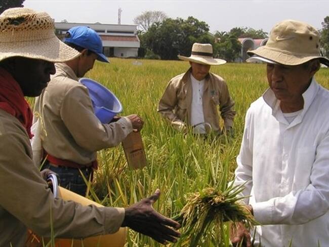 La presidencia de la Sociedad de Agriculturores de Colombia, SAC, será definida entre Jorge Enrique Bedoya y Andrés Espinosa / Imagen de referencia. Foto: Colprensa.