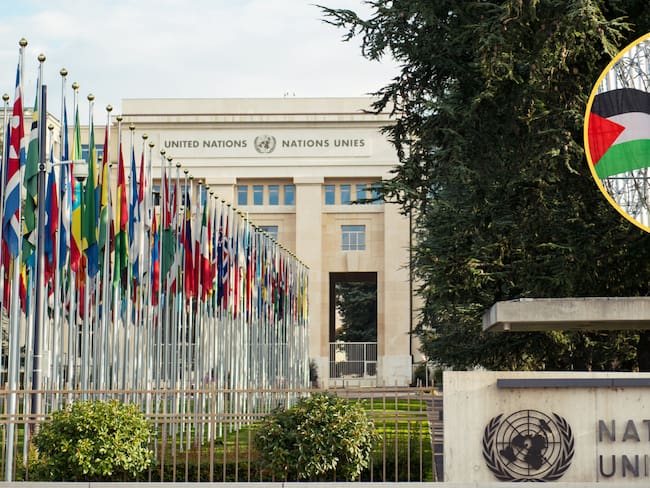 Imágenes de referencia. Getty Images.