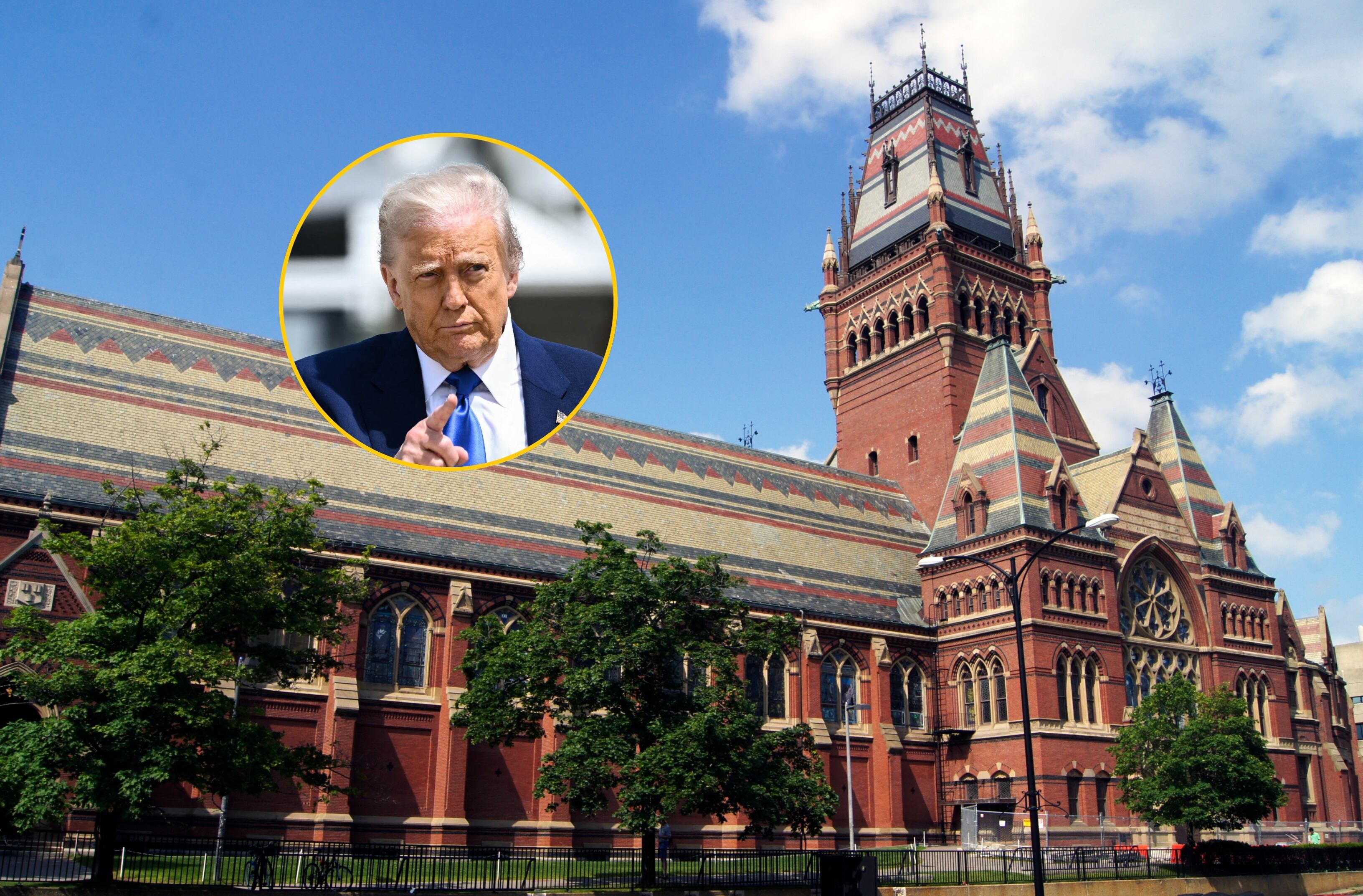 Presidente Donald Trump y la Universidad de Harvard en Boston, Massachusetts. Fotos: Getty Images - Eduardo Cabanas / Brendan Smialowski 