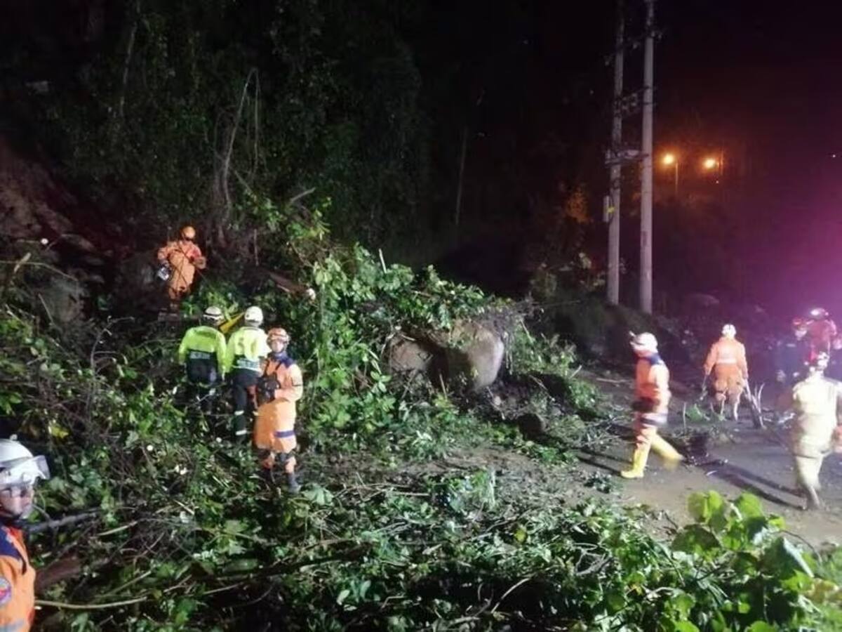 Deslizamientos, caídas de árboles y destechamientos dejaron las lluvias en Manizales