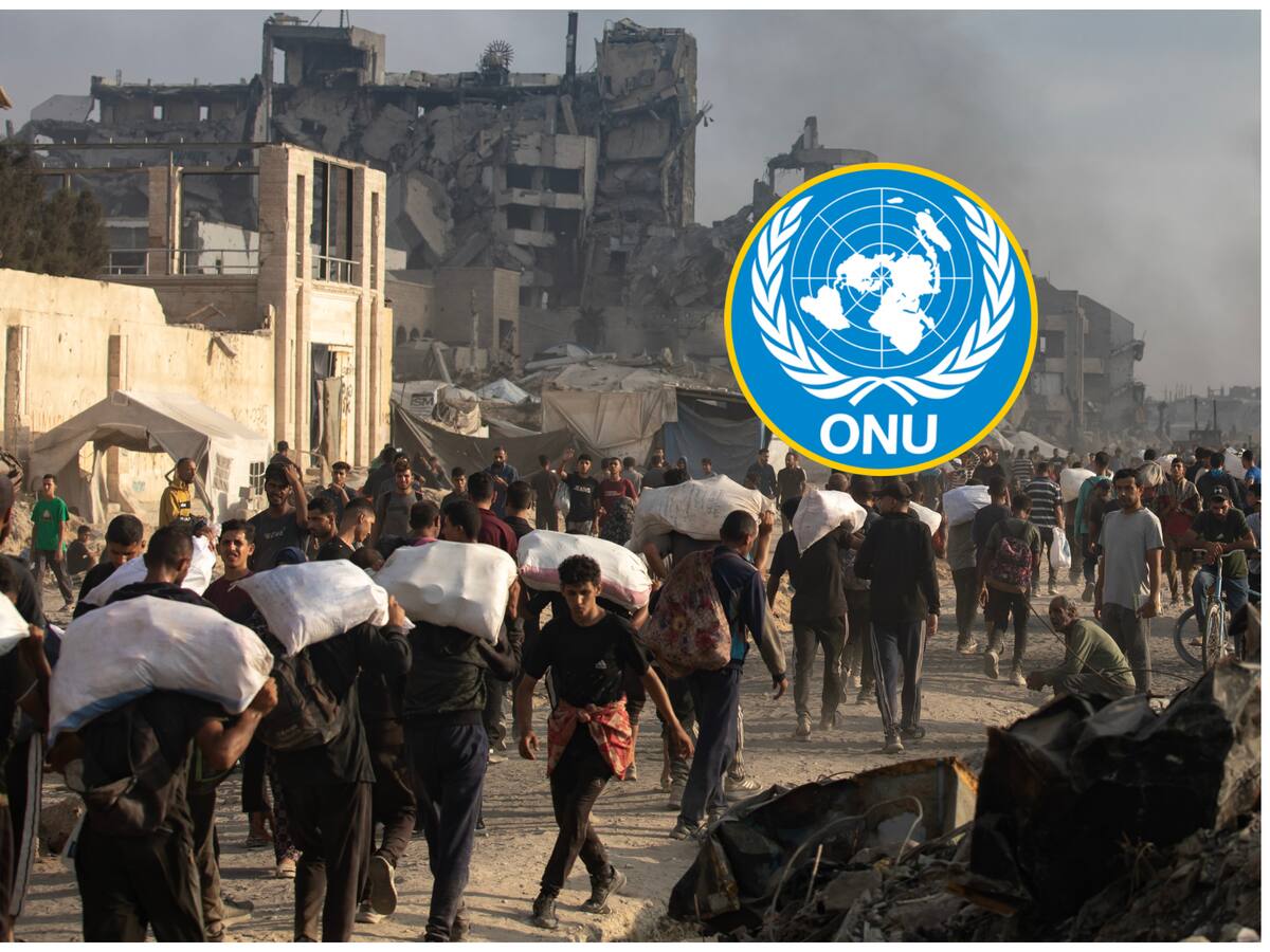 Expertos de la ONU pidieron ayuda naval “desde todos los puertos del Mediterráneo” para Gaza