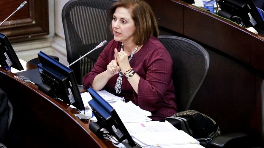 La propuesta fue planteada por la senadora María del Rosario Guerra. . Foto: Colprensa