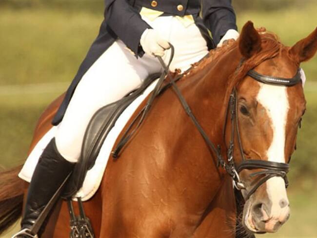 ¿Cómo se prepara el equipo ecuestre de Colombia para los Olímpicos?