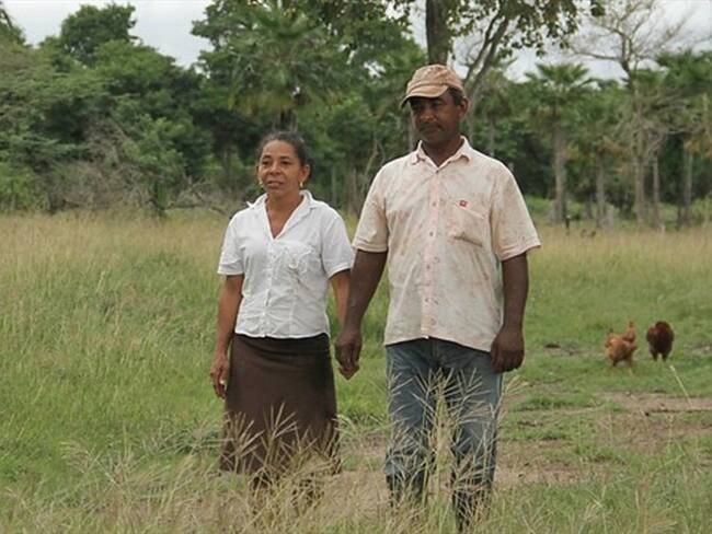 Restitución de tierras. Foto: Colprensa