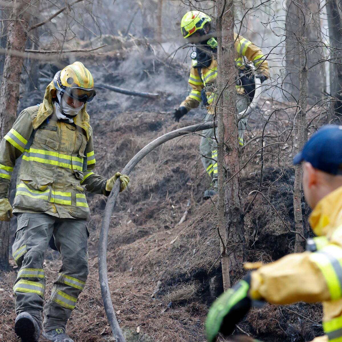 Nuevo incendio forestal en el cerro El Cable al oriente de Bogotá