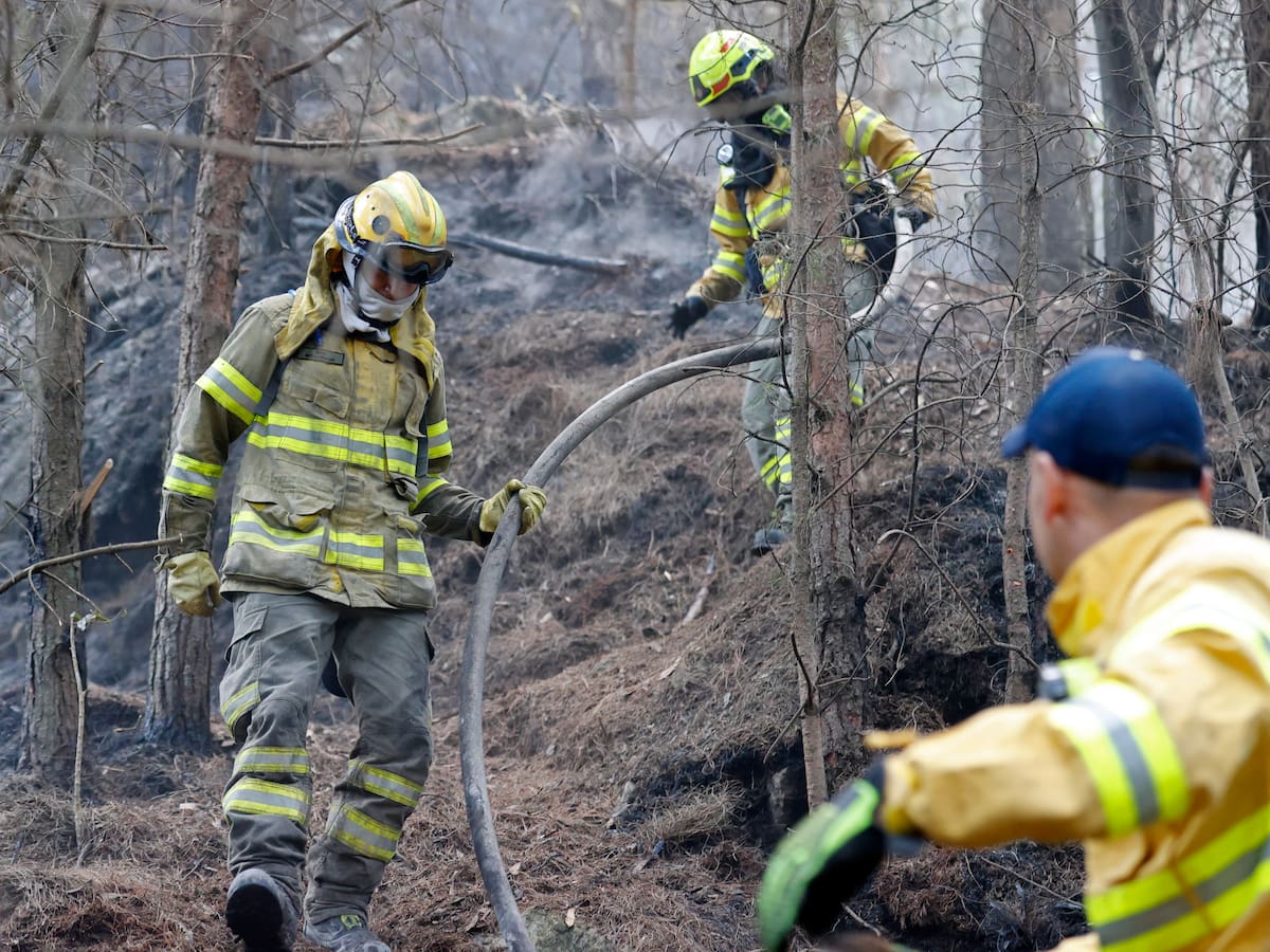 Nuevo incendio forestal en el cerro El Cable al oriente de Bogotá