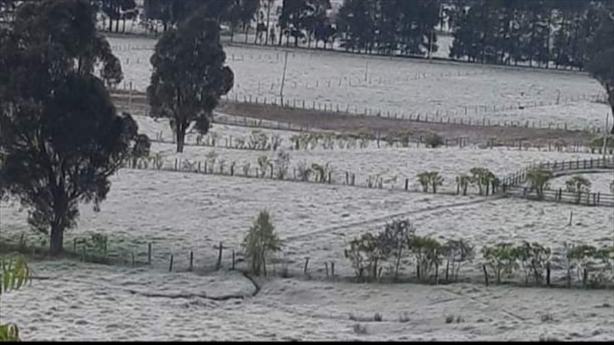 Este 10 de enero se espera la llegada del ministro de Agricultura, Andrés Valencia a Tunja para analizar la situación. Foto: Suministrada (Alcaldía de Belén)
