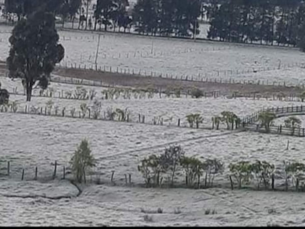 Se recrudecen heladas en Boyacá, 2.100 familias damnificadas y 3.800 hectáreas arrasadas