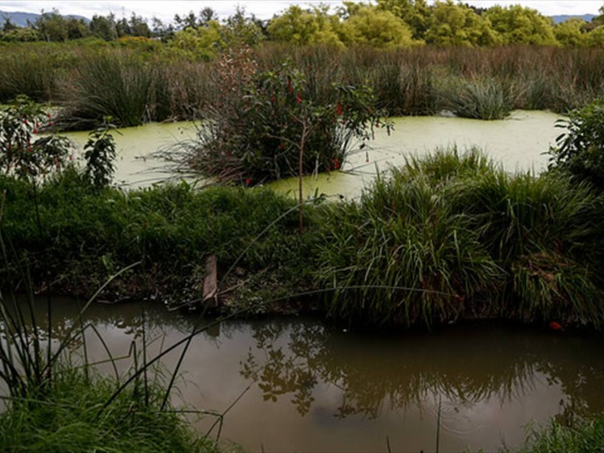 Bogotá obtiene la máxima certificación de humedales a nivel mundial