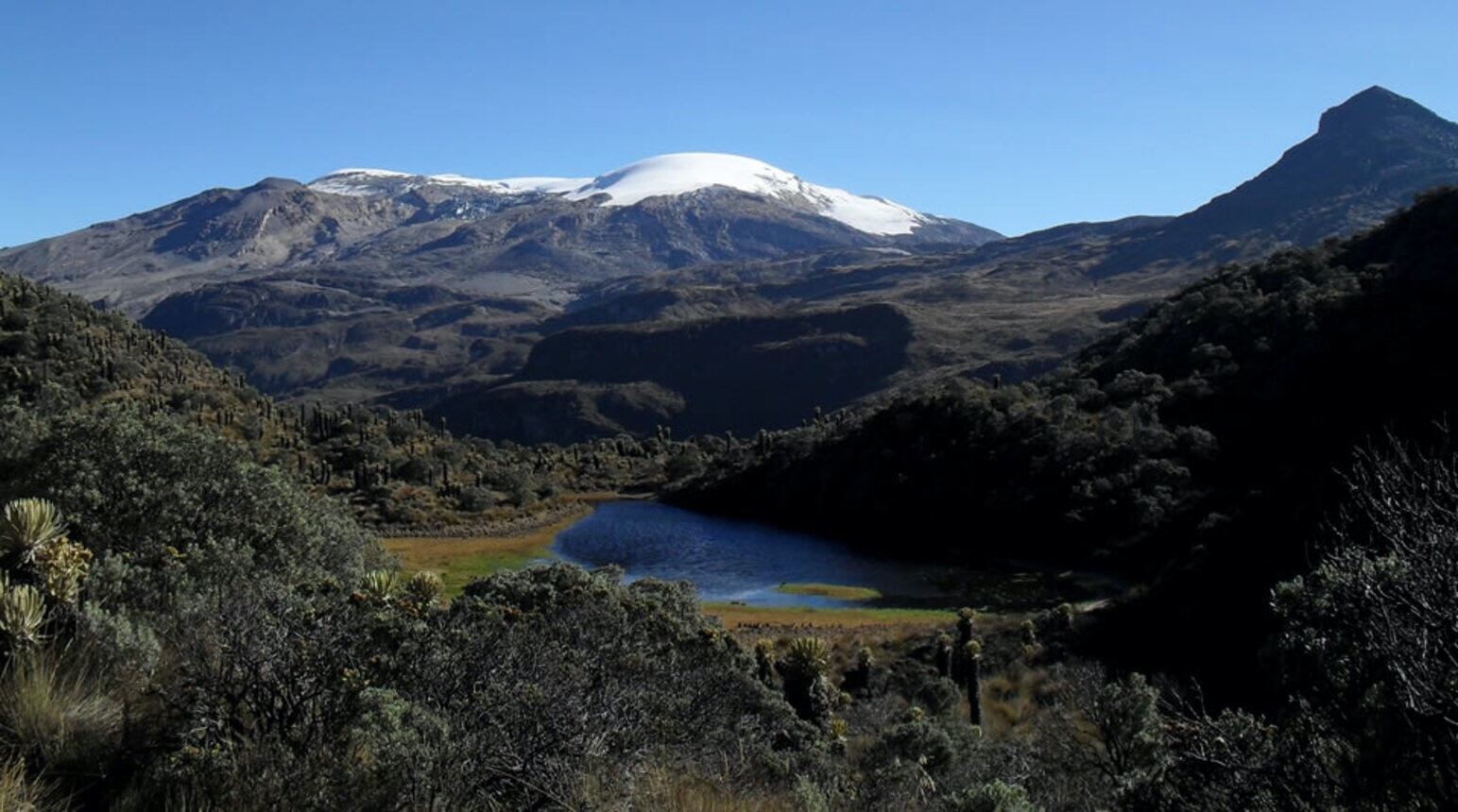 Parque Nacional Natural Los Nevados / Foto: Parque Nacionales Naturales
