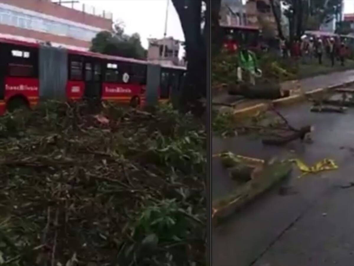 Ciudadanos se oponen a tala de árboles para ampliar una estación de Transmilenio en Suba