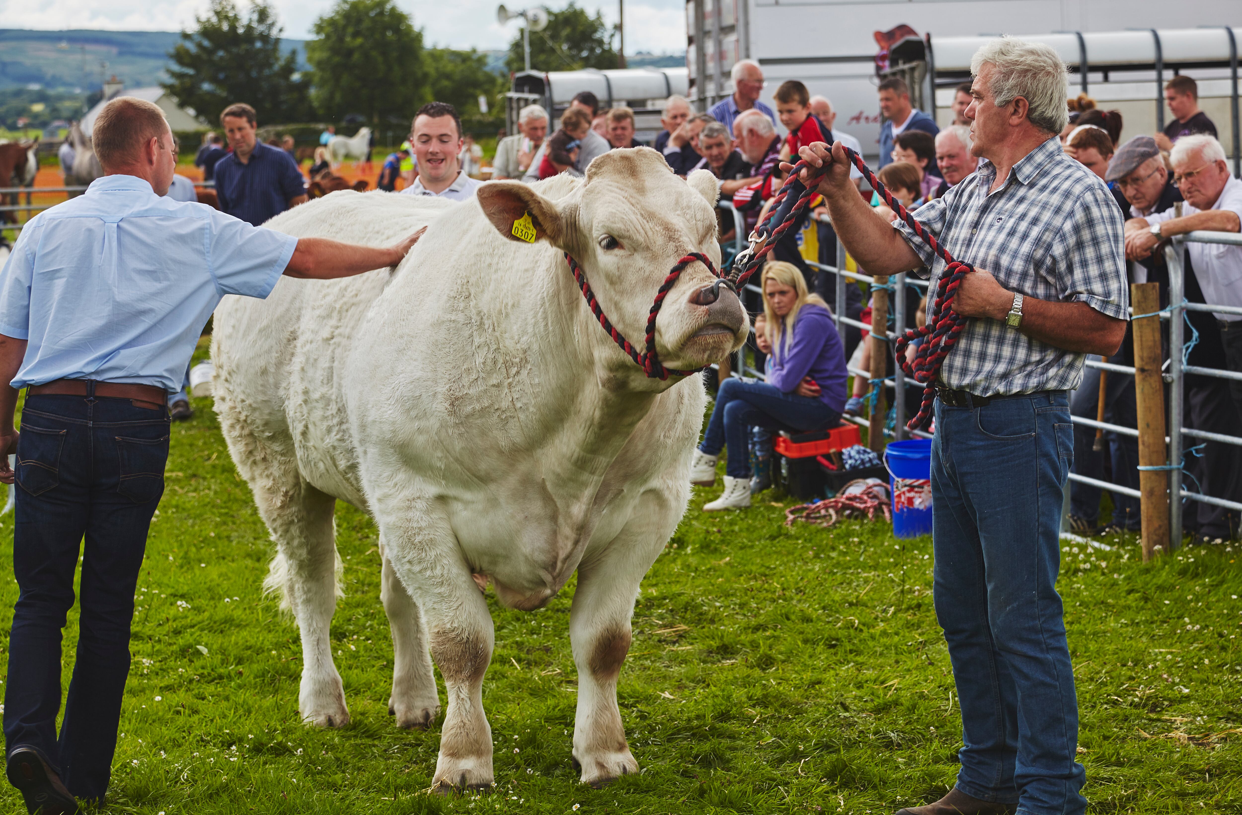 Referencia de feria agropecuaria. Foto: Nigel Hicks vía Getty Images. 