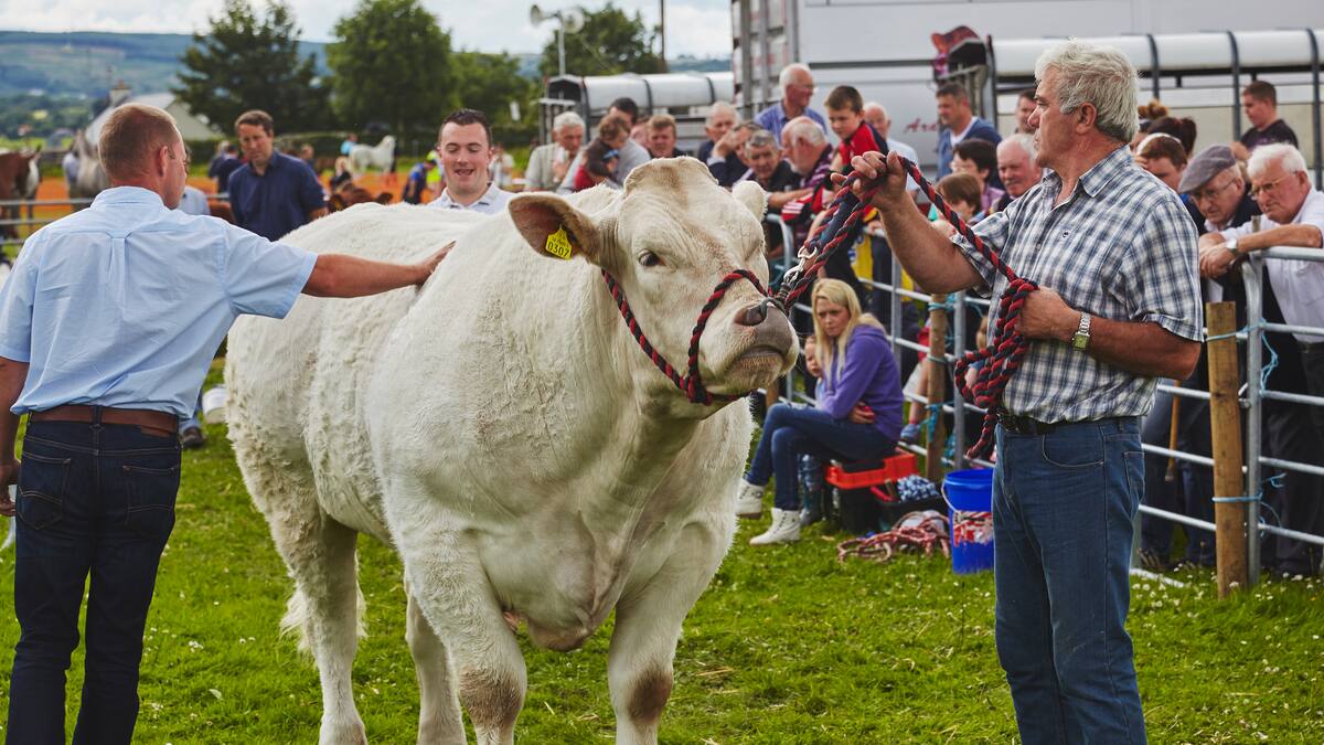 Agroexpo 2025: conozca los precios de boletería, fechas y horarios