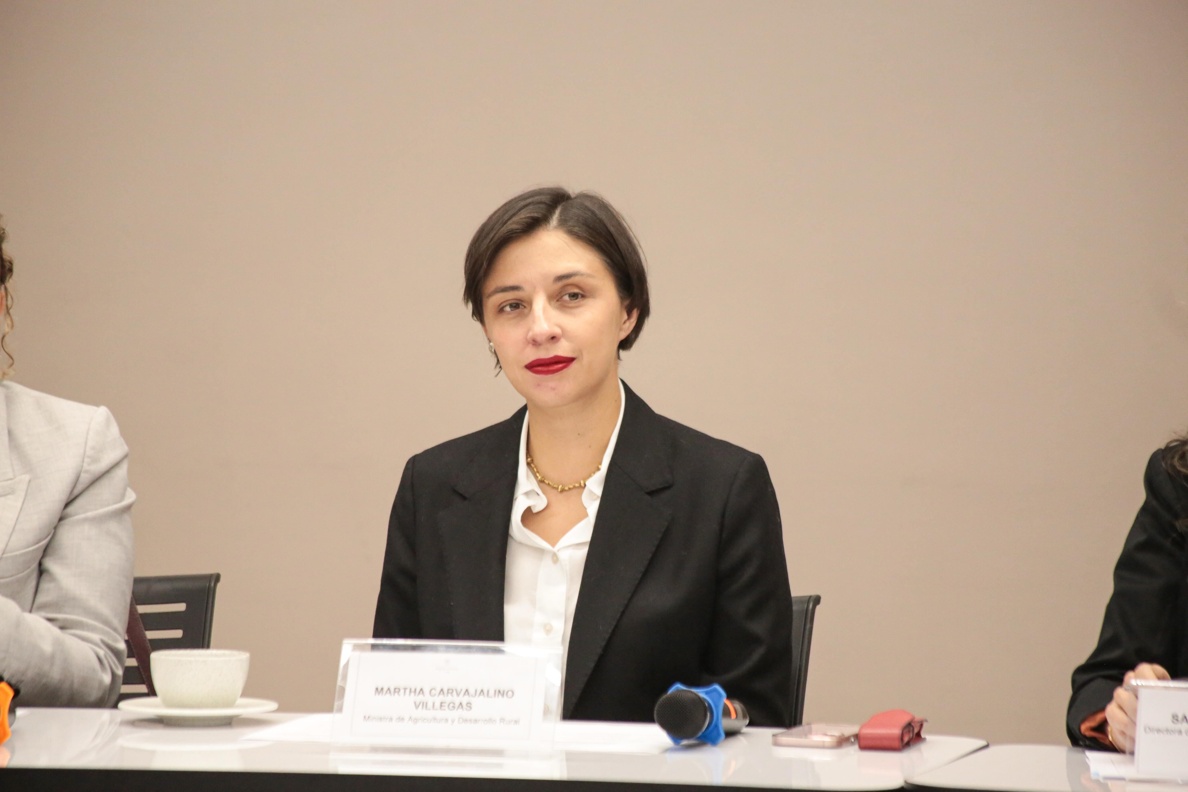 MinAgricultura negociará con los arroceros para buscar soluciones de fondo