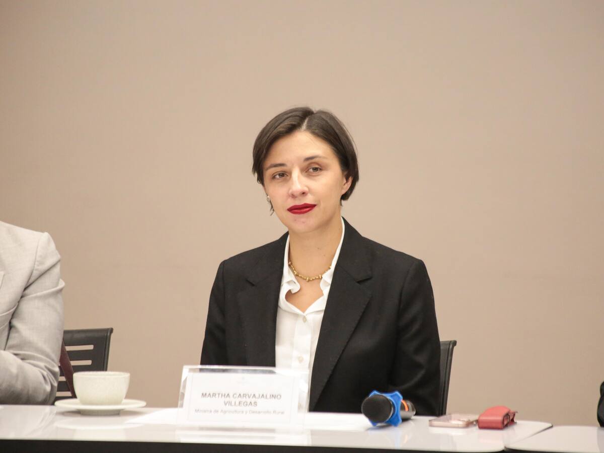 MinAgricultura negociará con los arroceros para buscar soluciones de fondo