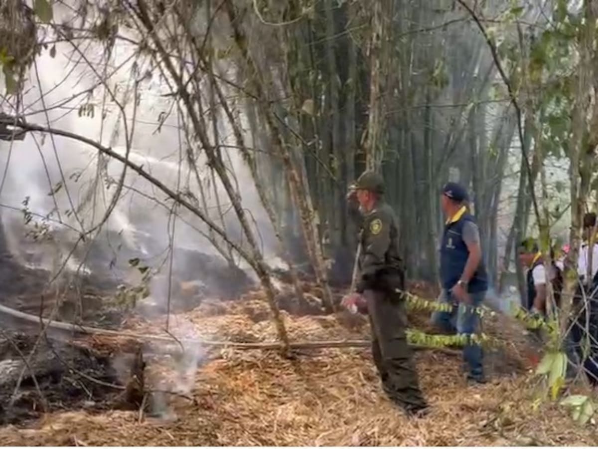 Piden declarar calamidad pública en Santander por emergencia de incendios forestales