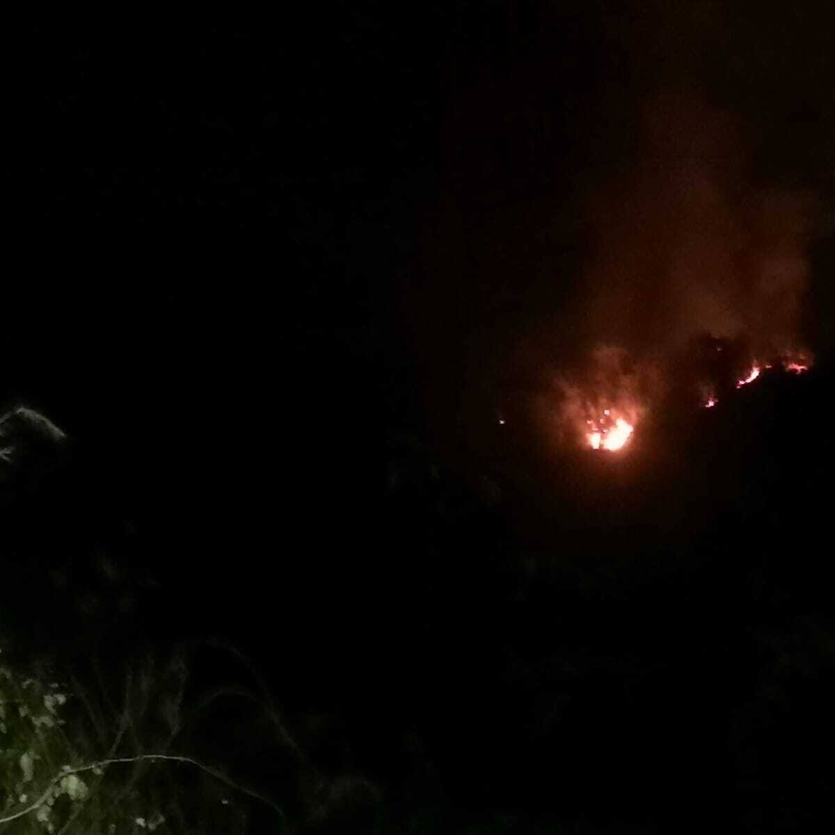 Incendio forestal consume 50 hectáreas en la Sierra Nevada de Santa Marta