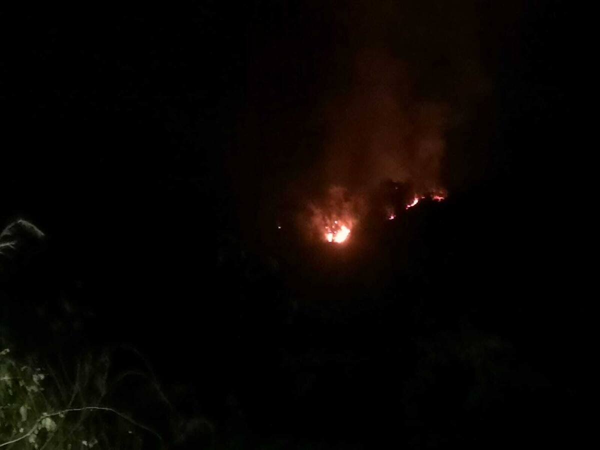 Incendio forestal consume 50 hectáreas en la Sierra Nevada de Santa Marta