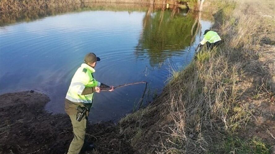 El hombre de 25 años de edad se lanzó al pozo sin tener conocimiento que tenía una profundidad de seis metros.. Foto: (Referencia) Policía.