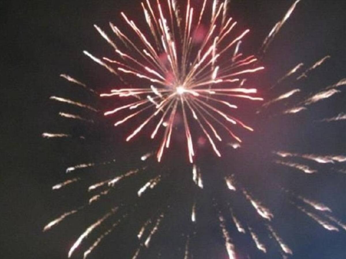 Polémica por millonario contrato para prevenir el uso de pólvora en Córdoba