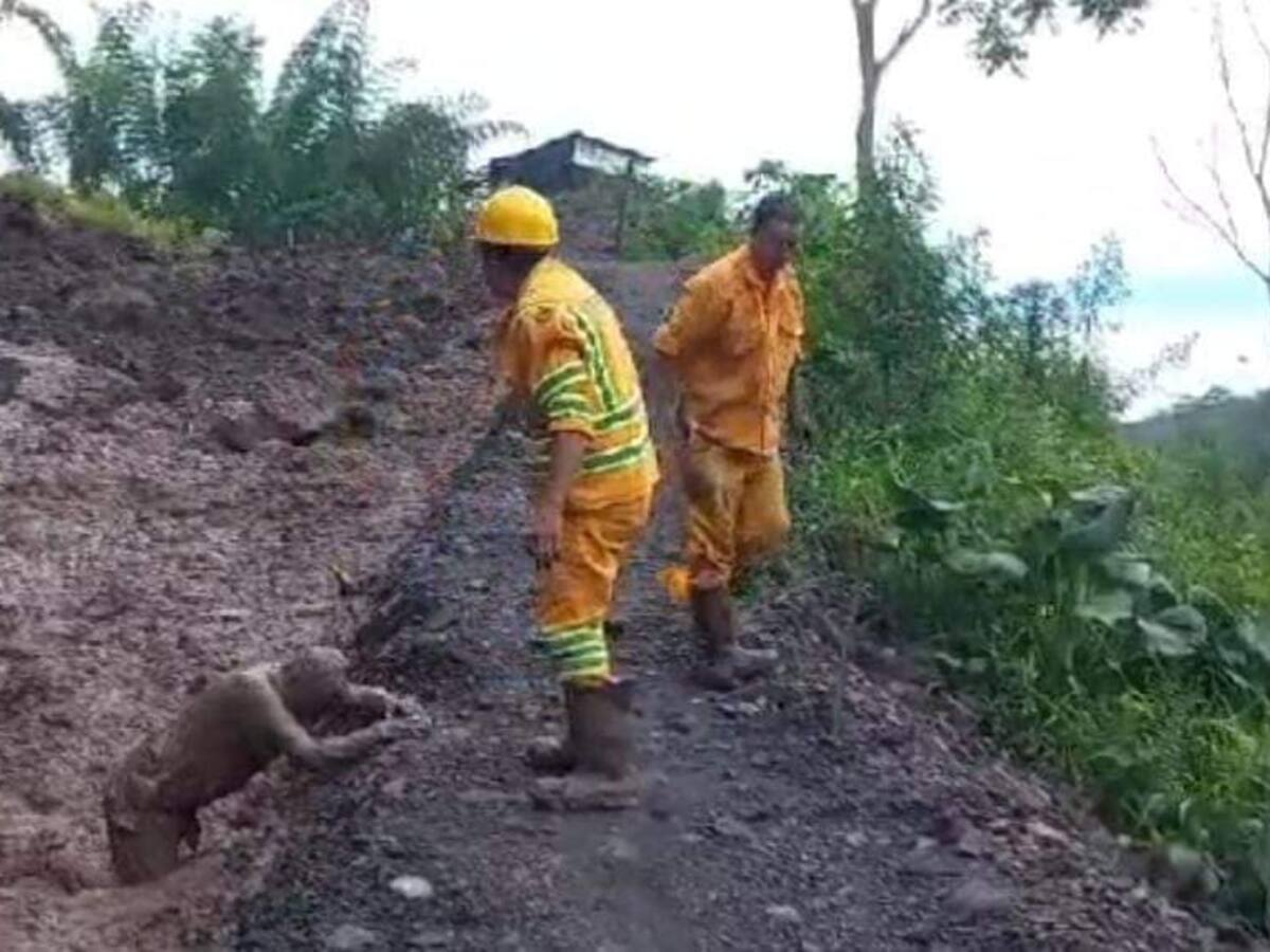 Angustiosos momentos vivieron tres personas en Otanche (Boyacá) por un derrumbe