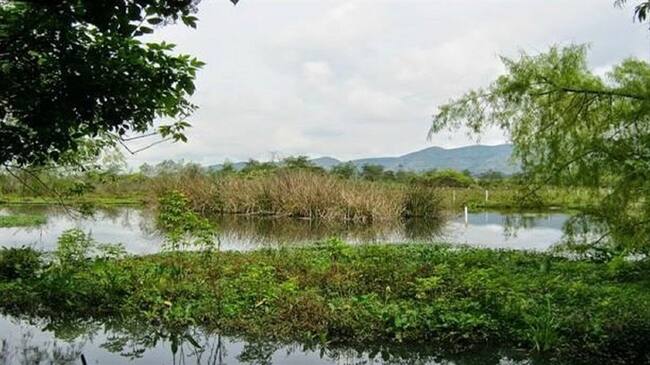 Por su parte, la gerente de la empresa de Acueducto y Alcantarillado de Bogotá dijo en Sigue La W que estas obras vienen desde 2018.. Foto: Cortesía: Alcaldía de Bogotá