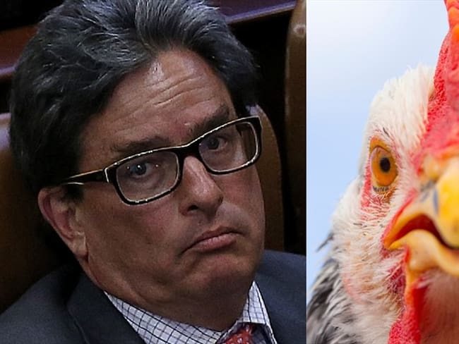 Ministro de Hacienda, Alberto Carrasquilla, e imagen de referencia de un gallo. Foto: Colprensa - Camila Díaz / Getty Images - Fernando Trabanco