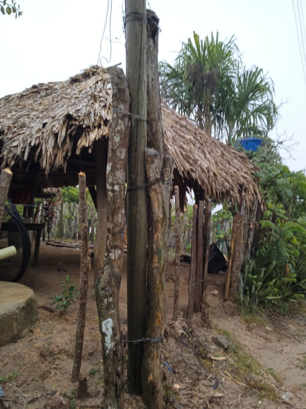 Vía tutela obligan a la empresa Afinia a cambiar postes de madera en zona rural de Montería. Foto: Defensoría del Pueblo.