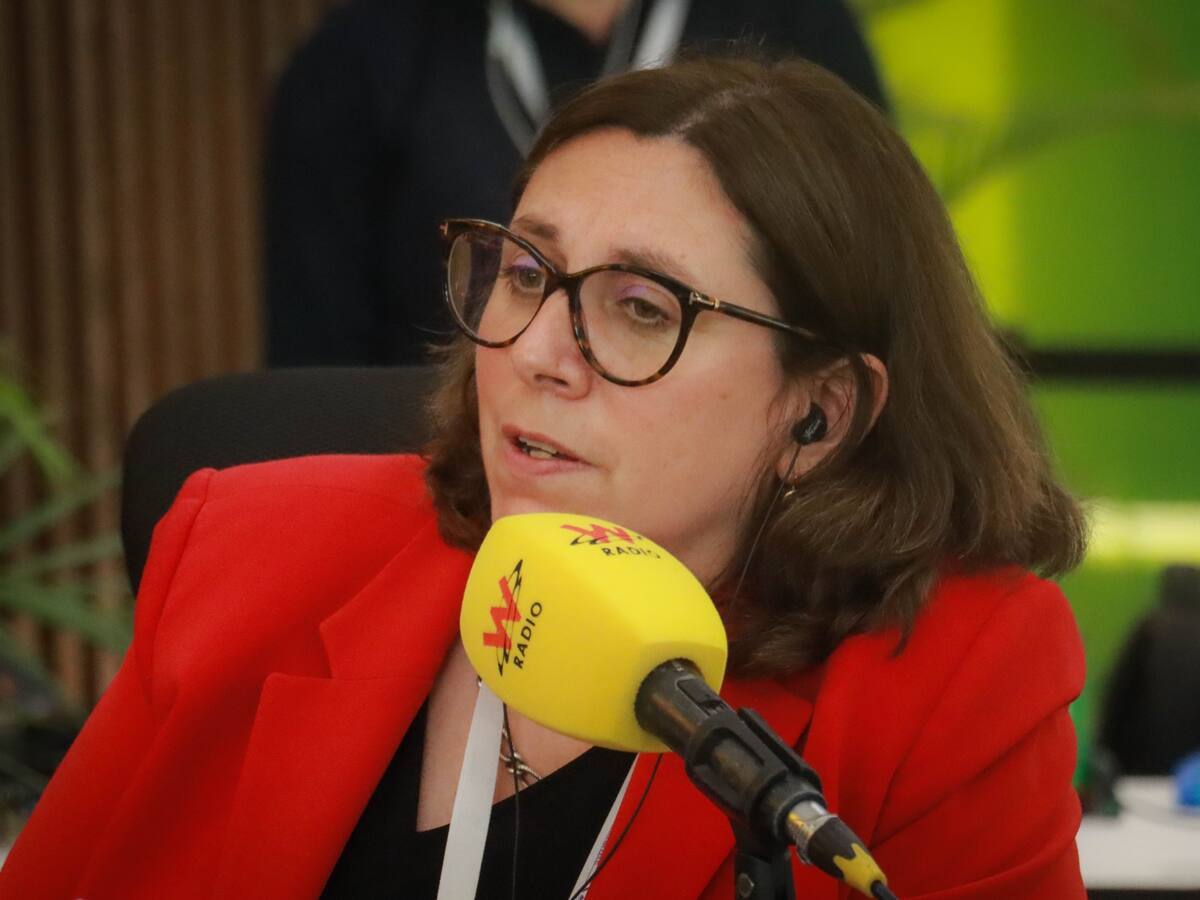 ¿Qué problemáticas hay en la operación de las PYMEs en las regiones de Colombia?: Experta explica