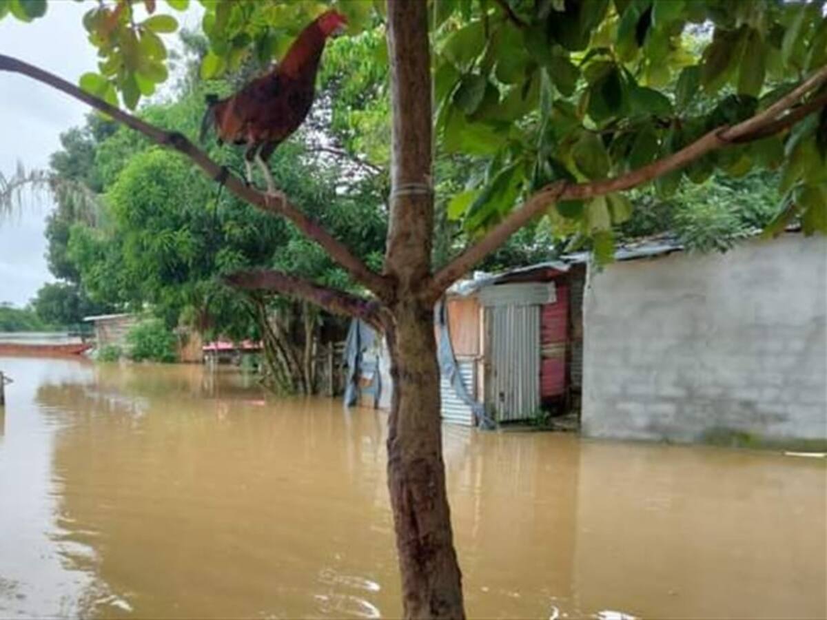 Montería y Lorica se declararon en calamidad pública por las lluvias