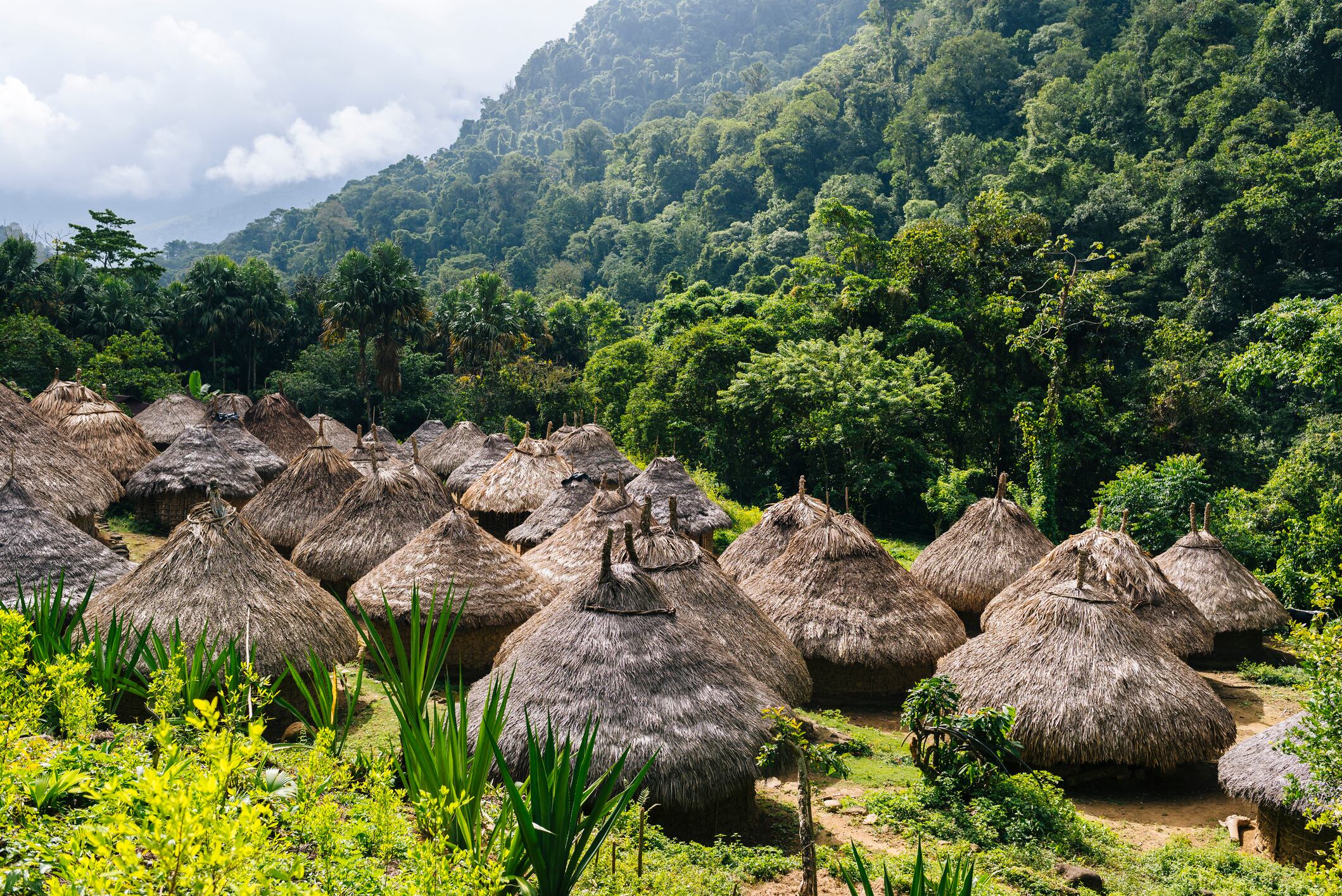 Comunidad Kogi en la Sierra Nevada - Santa Marta. Foto: Getty Images