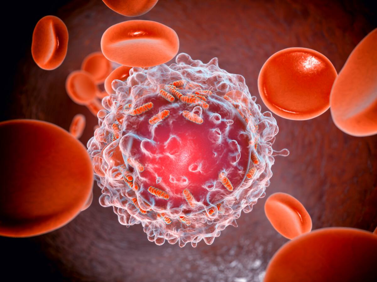 Una pastilla experimental logra remitir la leucemia aguda en 18 pacientes