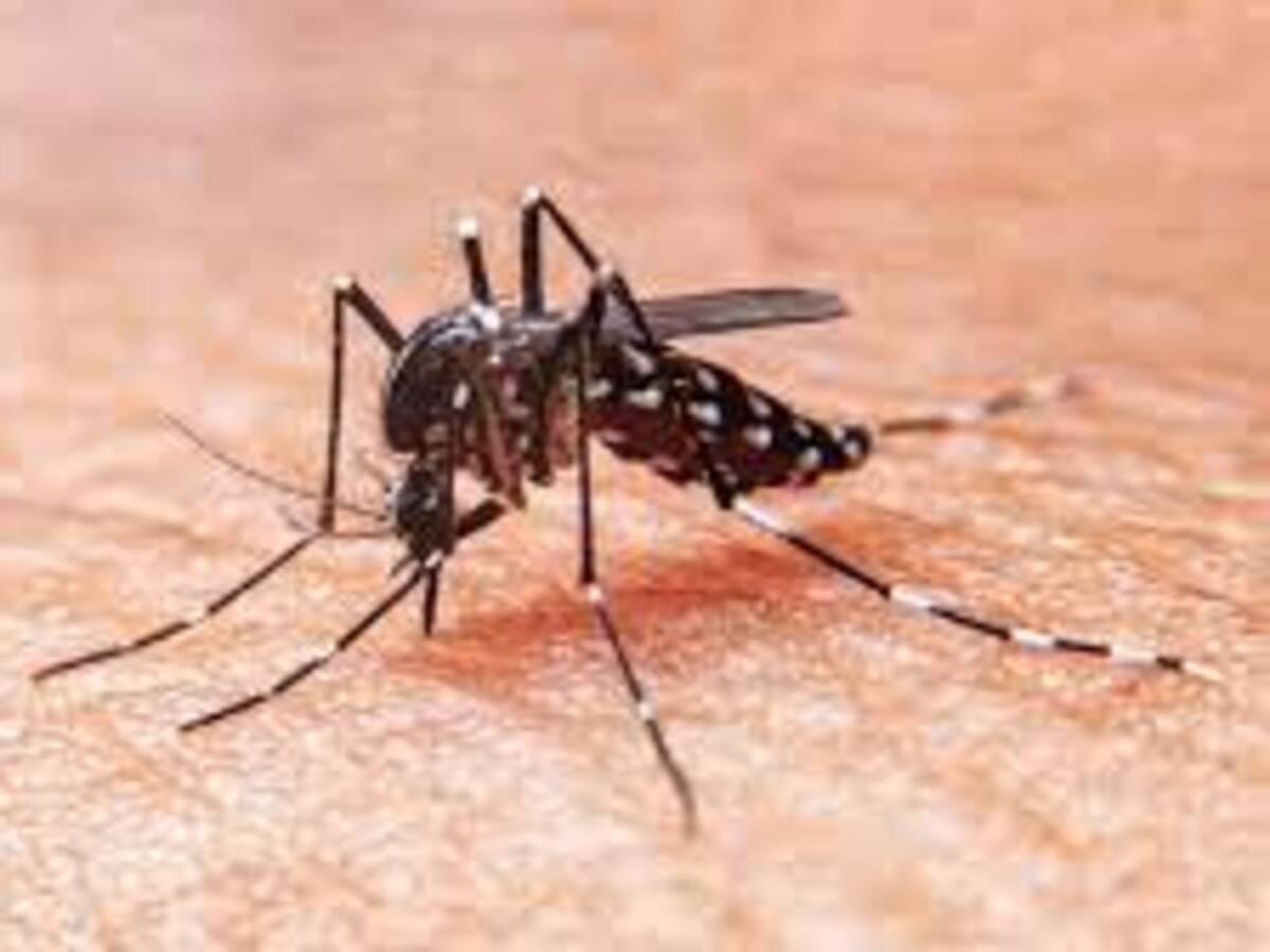 Por dengue han muerto dos personas en Bucaramanga