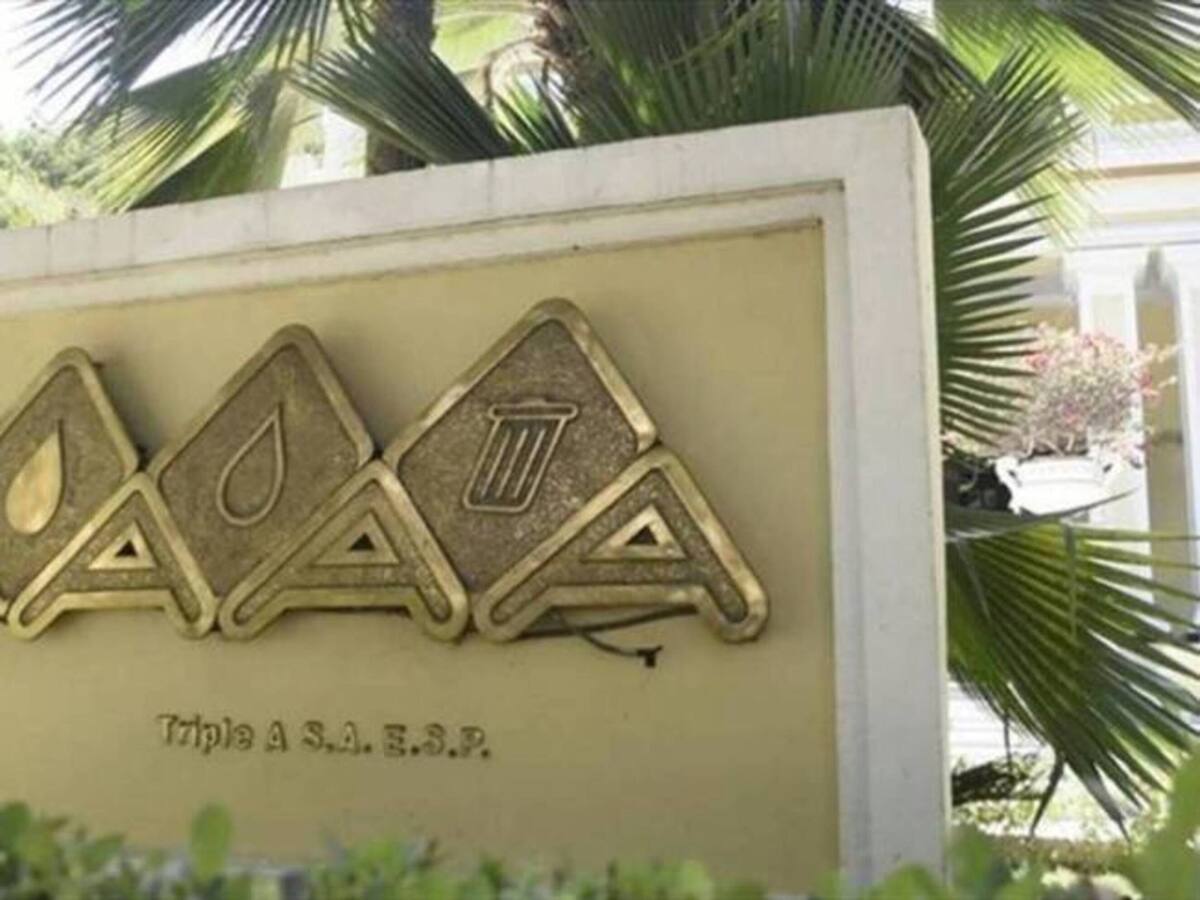 “Fue un favor político”, accionista de la Triple A sobre enajenación temprana