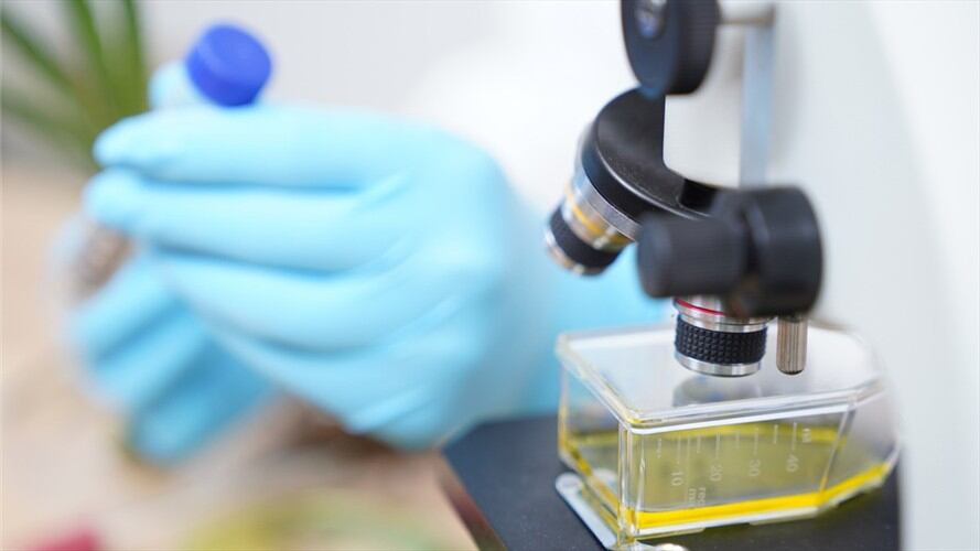 Imagen de referencia. Foto: Getty Images