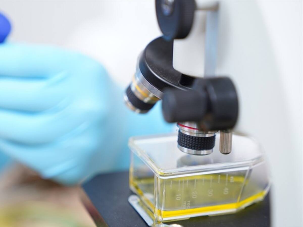 En Costa Rica comienzan a aplicar tratamiento de plasma contra coronavirus