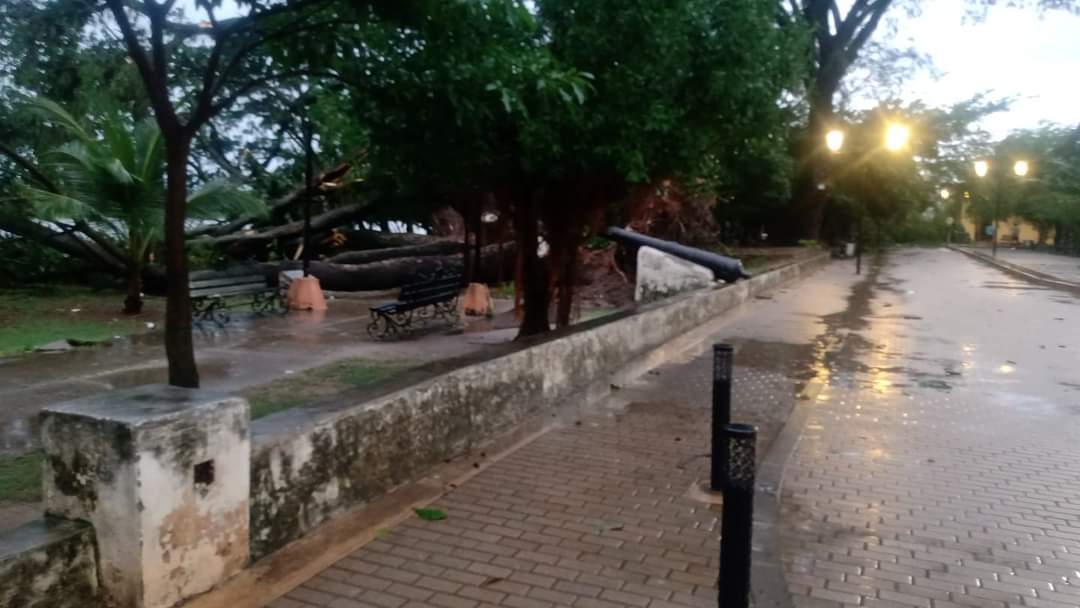 Imagen de referencia. Foto tomada de Twitter.