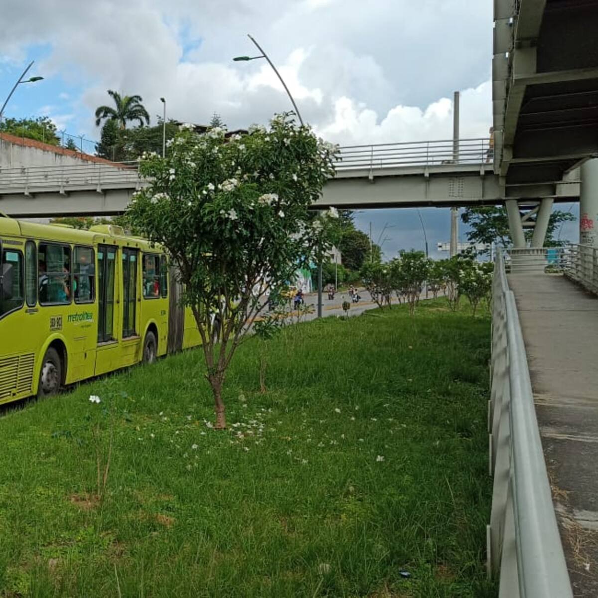En Bucaramanga propondremos su paso a sistemas eléctricos: Petro sobre transporte público